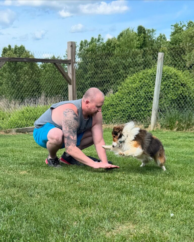 Sunny Ridge Kennels Dog and Cat Boarding - Sunny Ridge Kennels - Mt. Crawford, VA