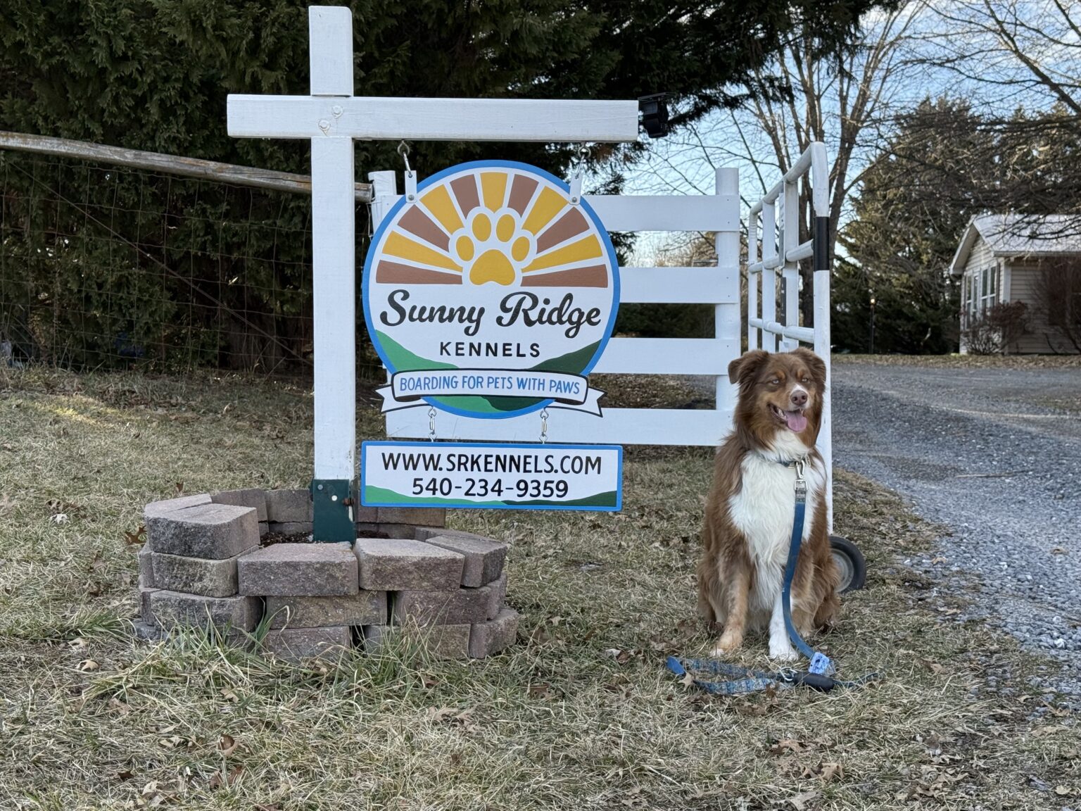 Sunny Ridge Kennels Dog and Cat Boarding - Sunny Ridge Kennels - Mt. Crawford, VA